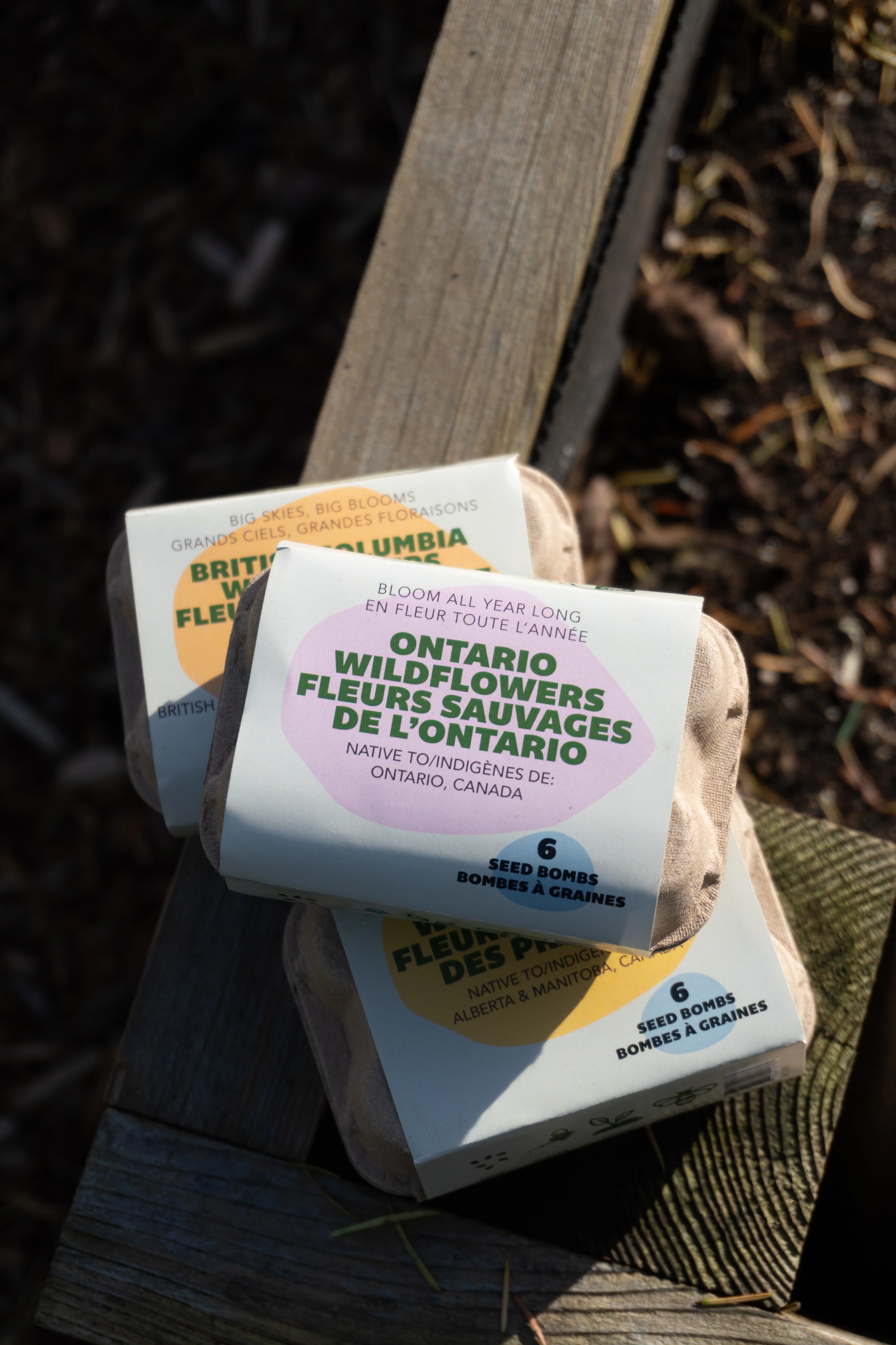 Bloom All Year Long (Ontario Native Wildflowers) - Image 3