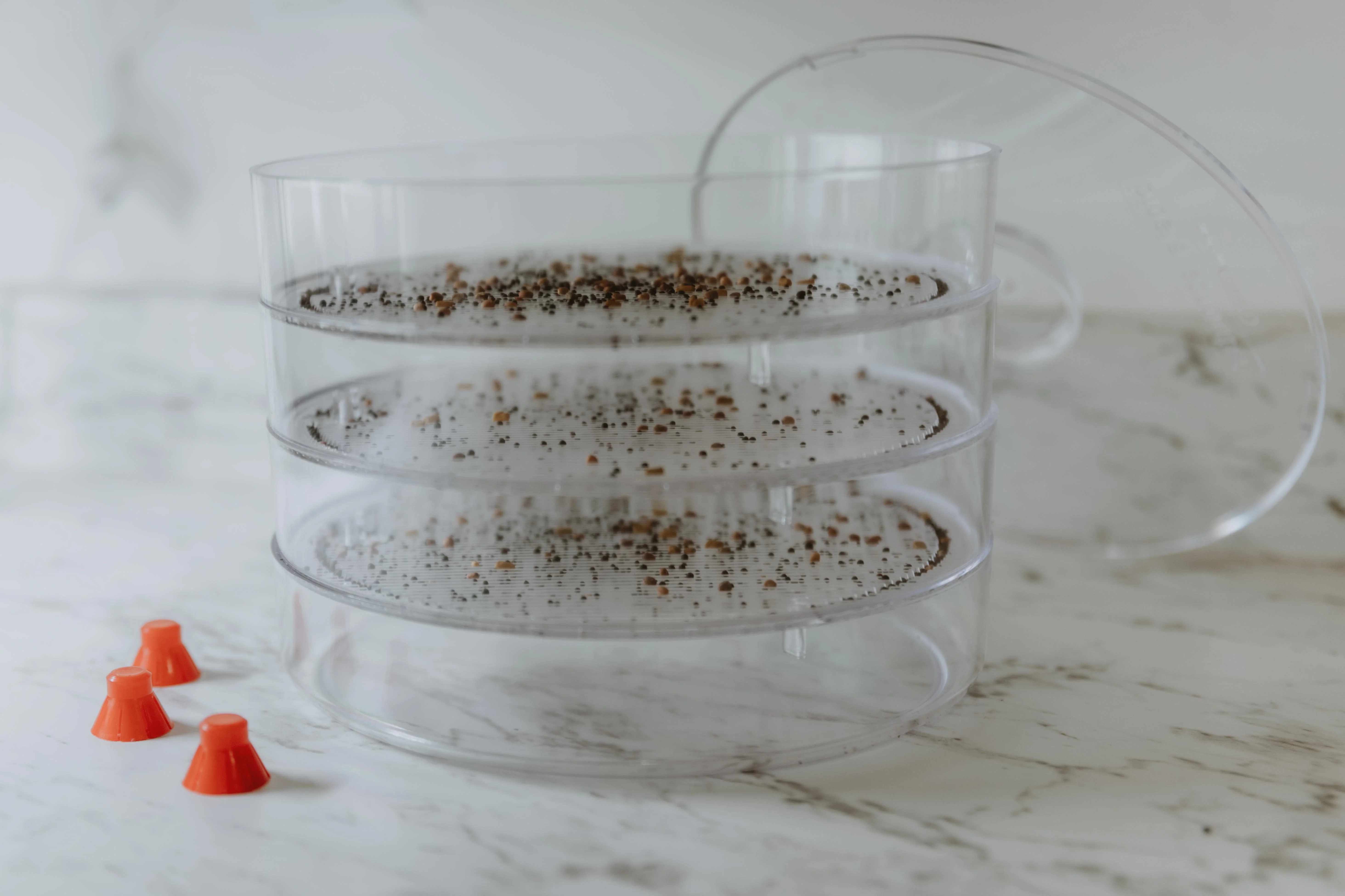 Biosta Kitchen Crop Sprouter - Image 4
