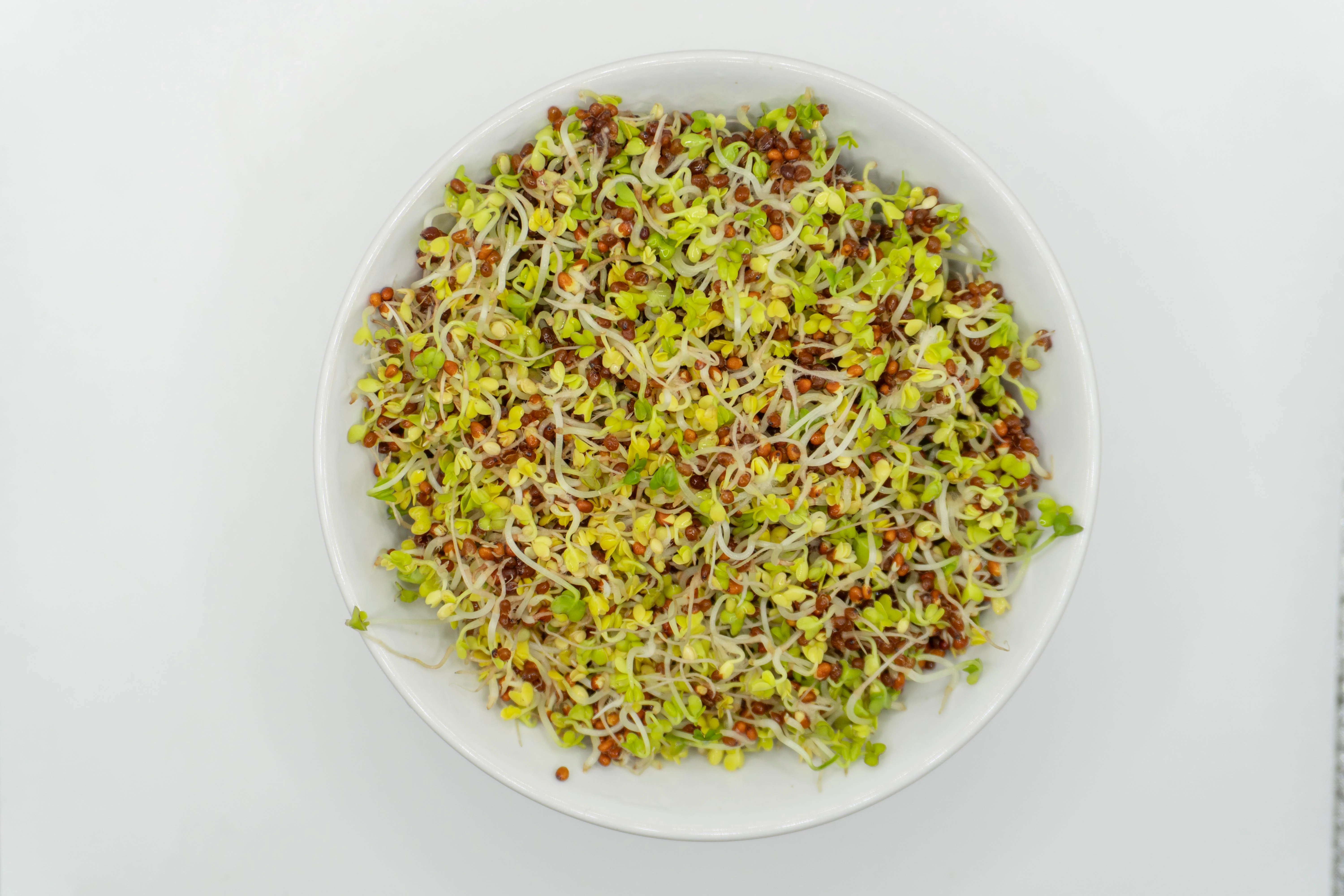 Brown Mustard Organic - Image 3