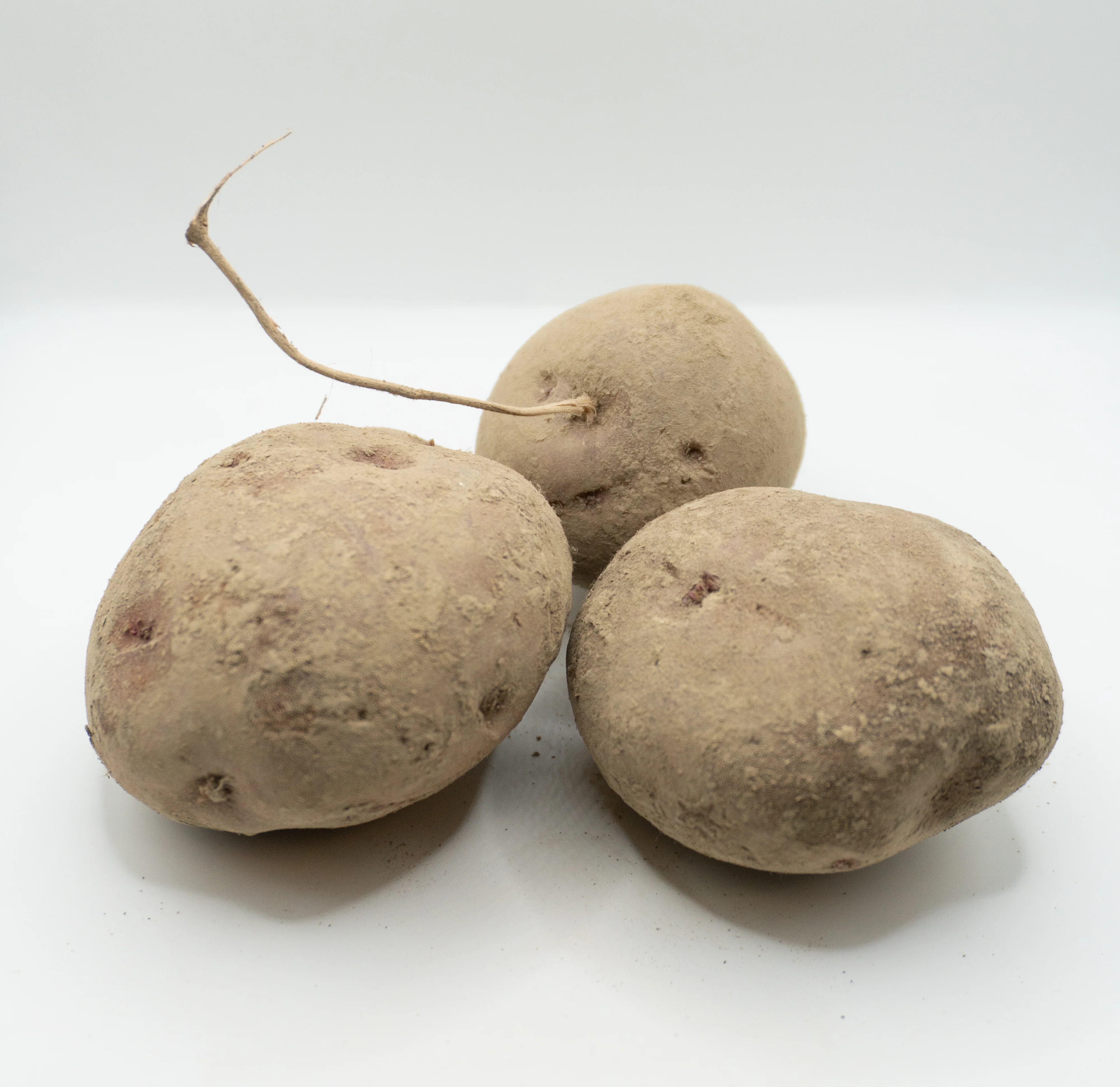 Chieftain Organic - Image 5