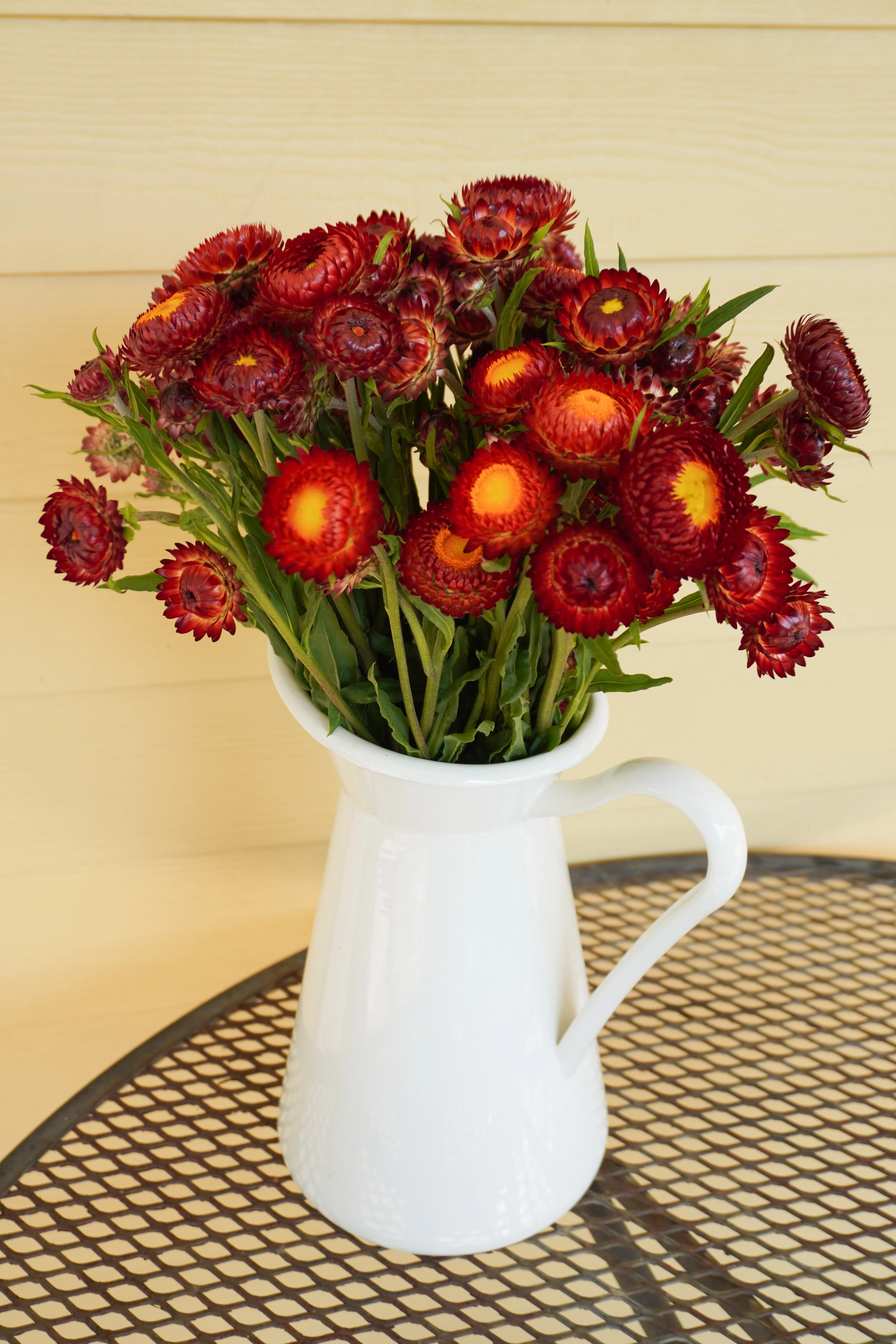 Copper Red - Image 2