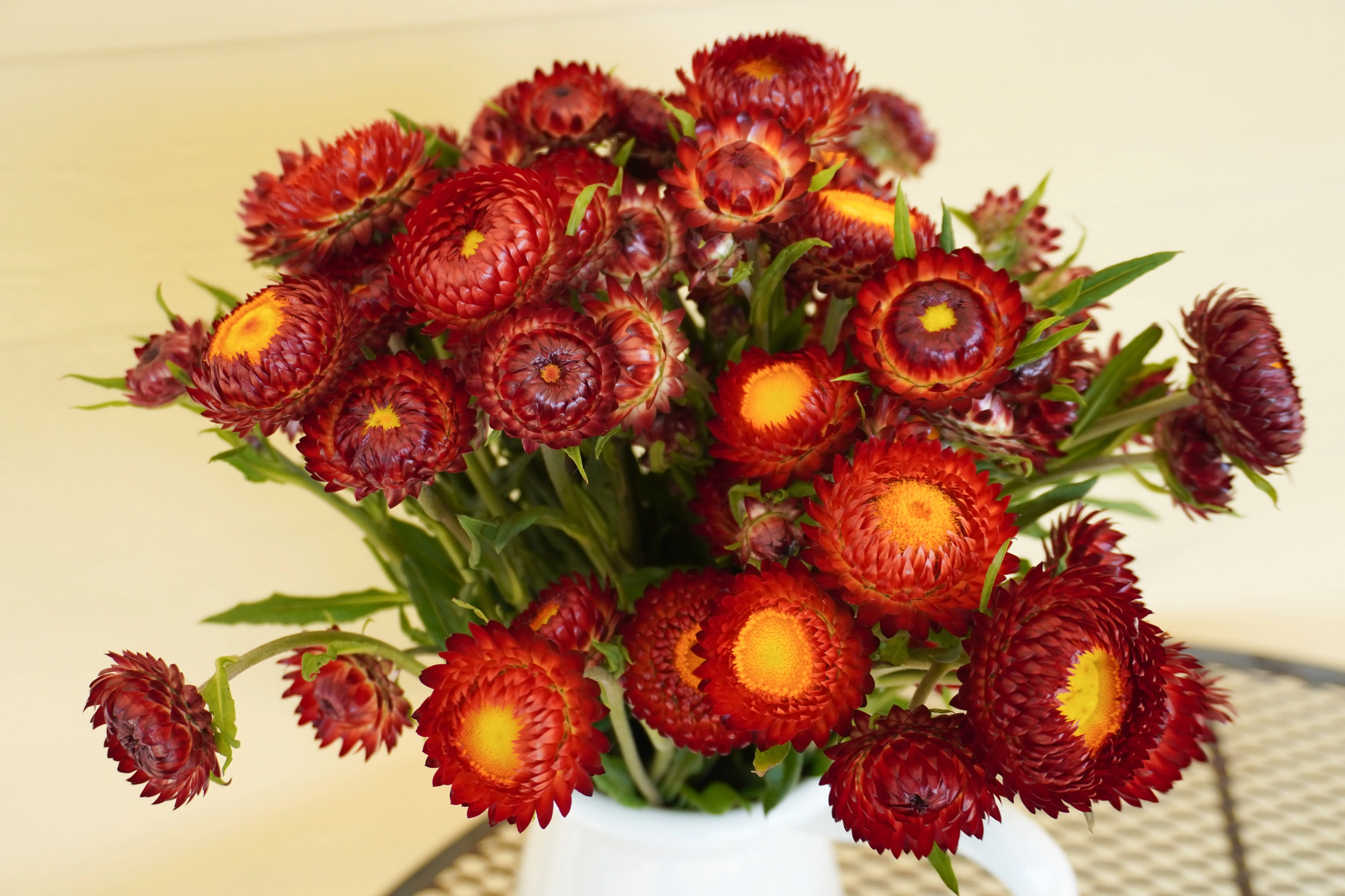 Copper Red - Image 3