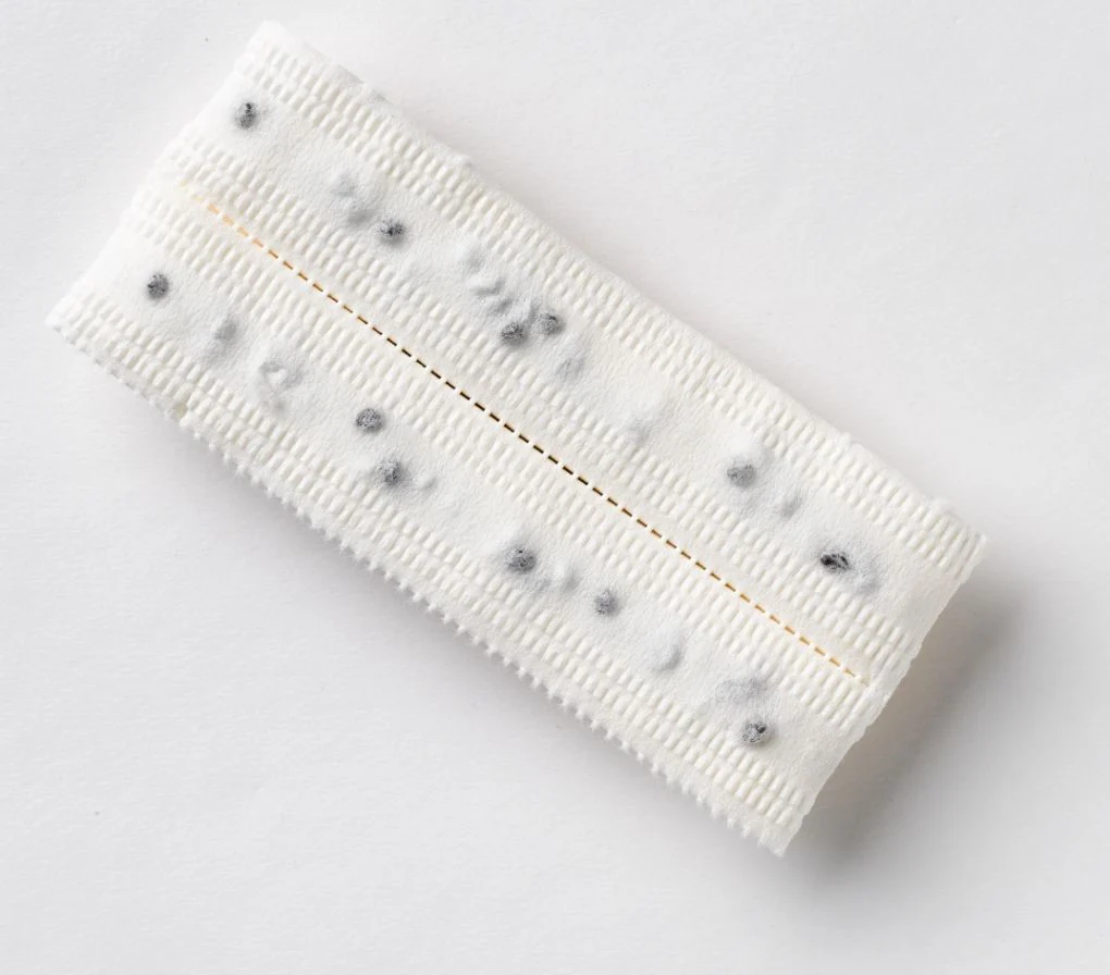 French Breakfast Seed Tape - Image 2