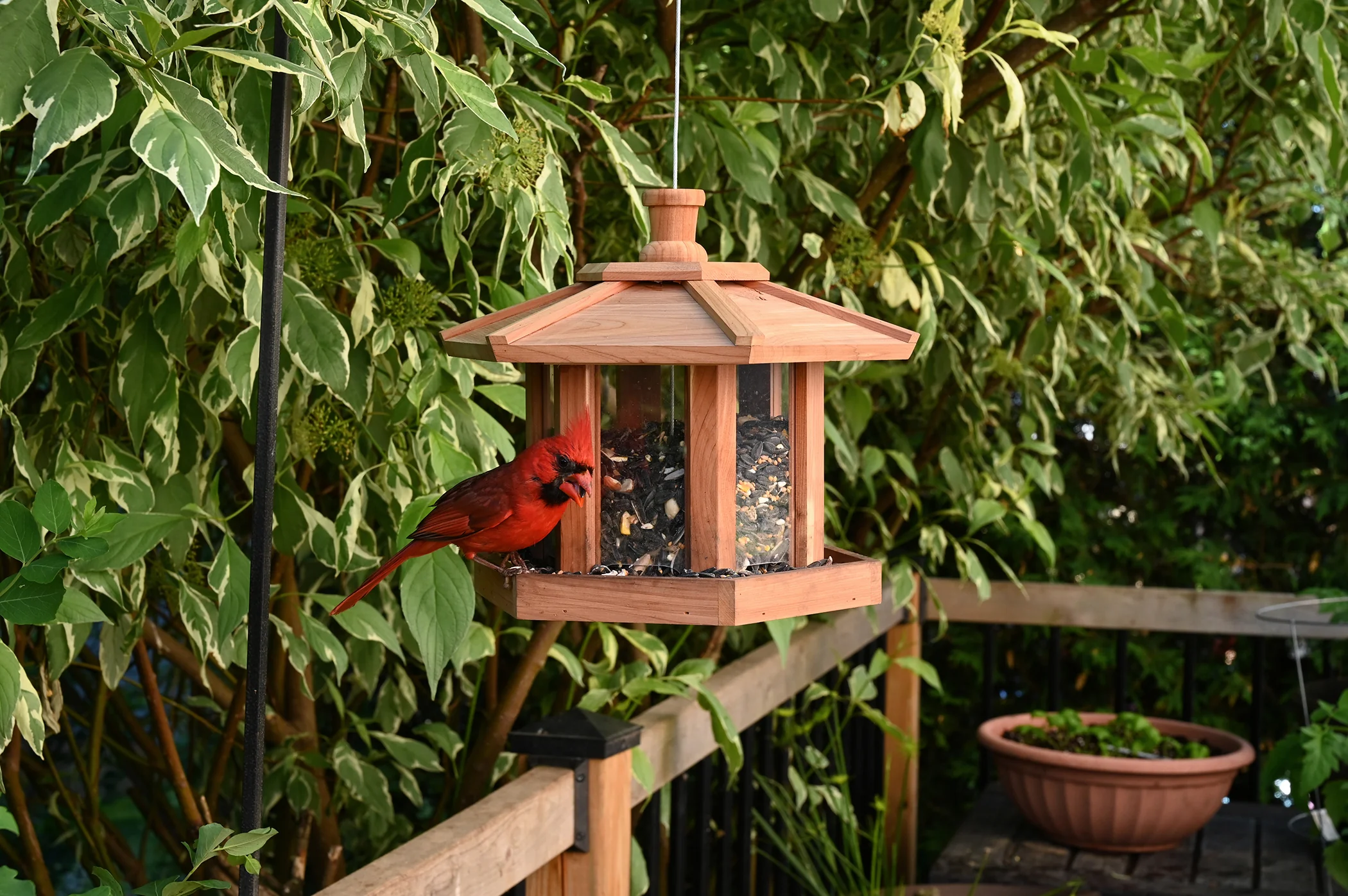 Gazebo Style Bird Feeder - Image 2