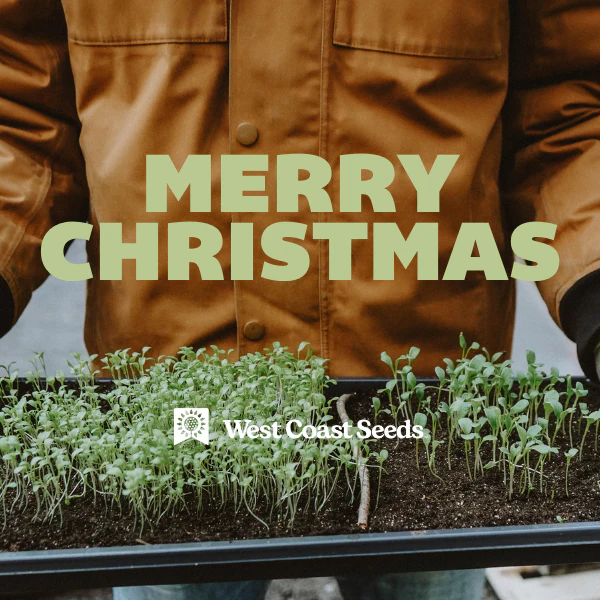 Electronic Gift Card - Image 7