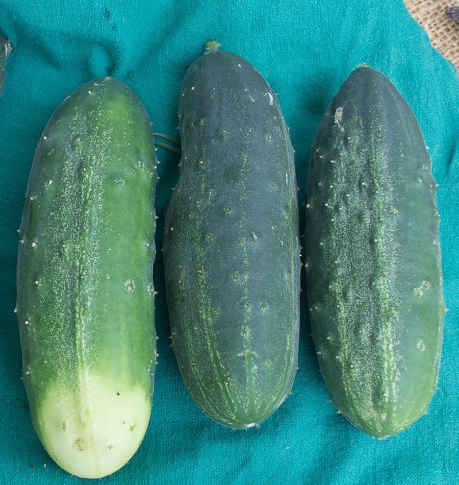 Homemade Pickles - Image 3