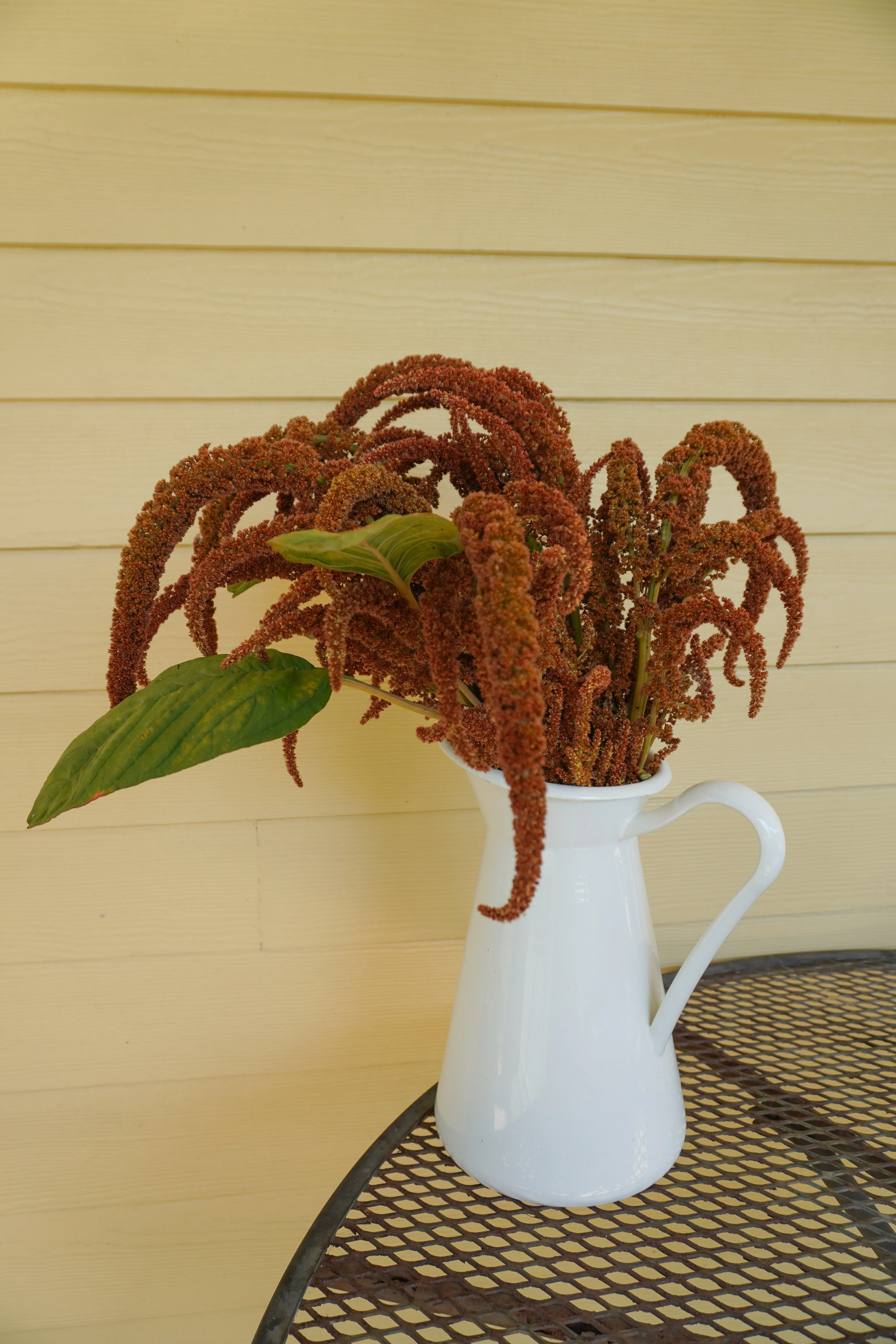 Hot Biscuits - Image 2