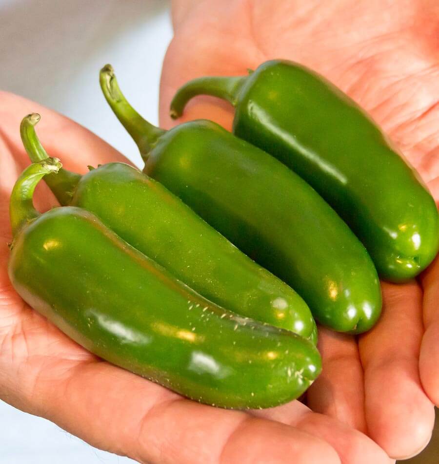 Jalapeno M - Image 4
