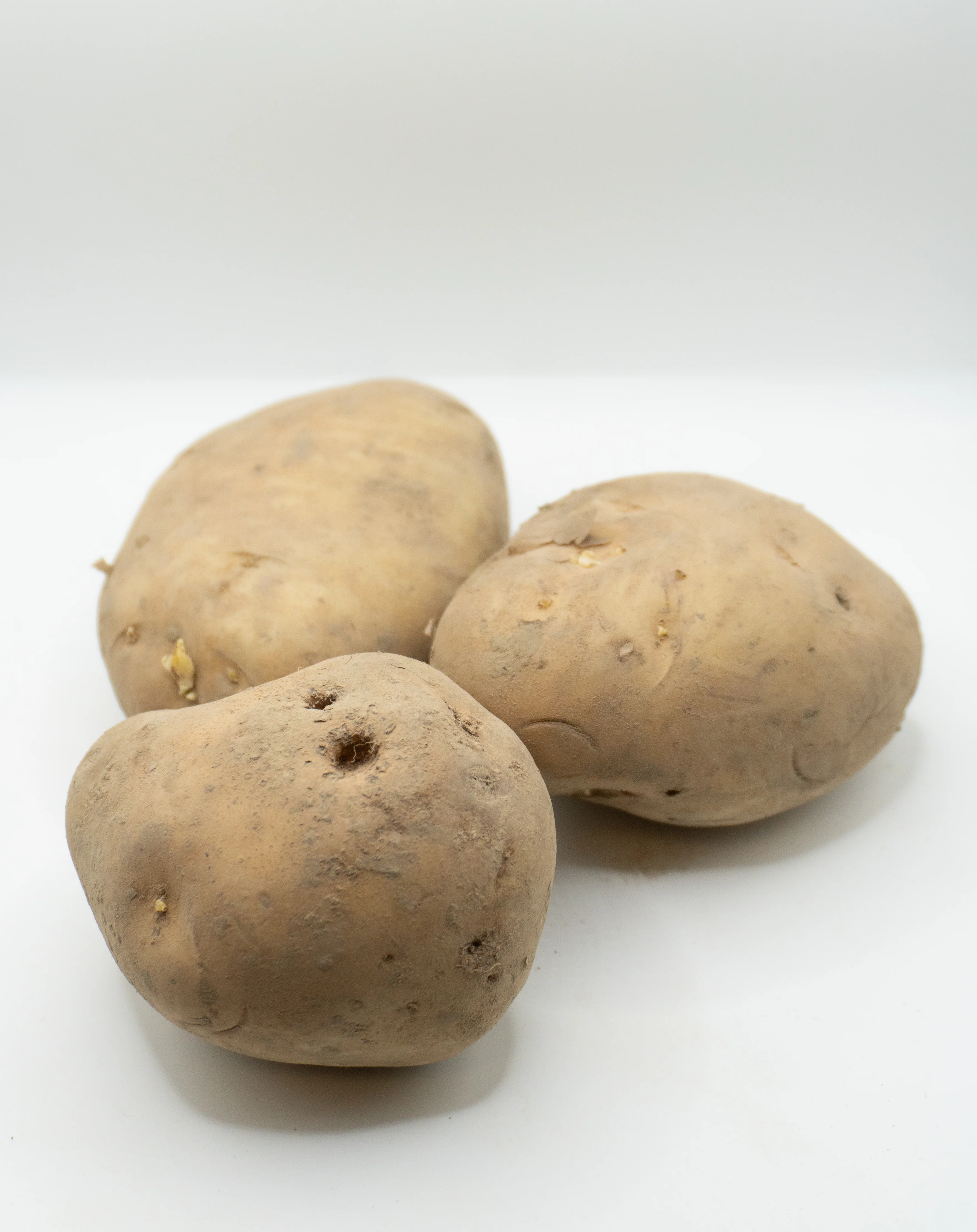 Kennebec Organic - Image 3