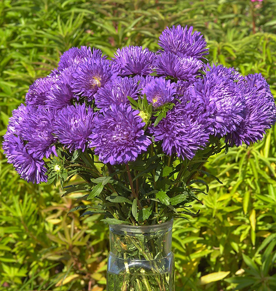 King Size Mid-Blue - Image 2
