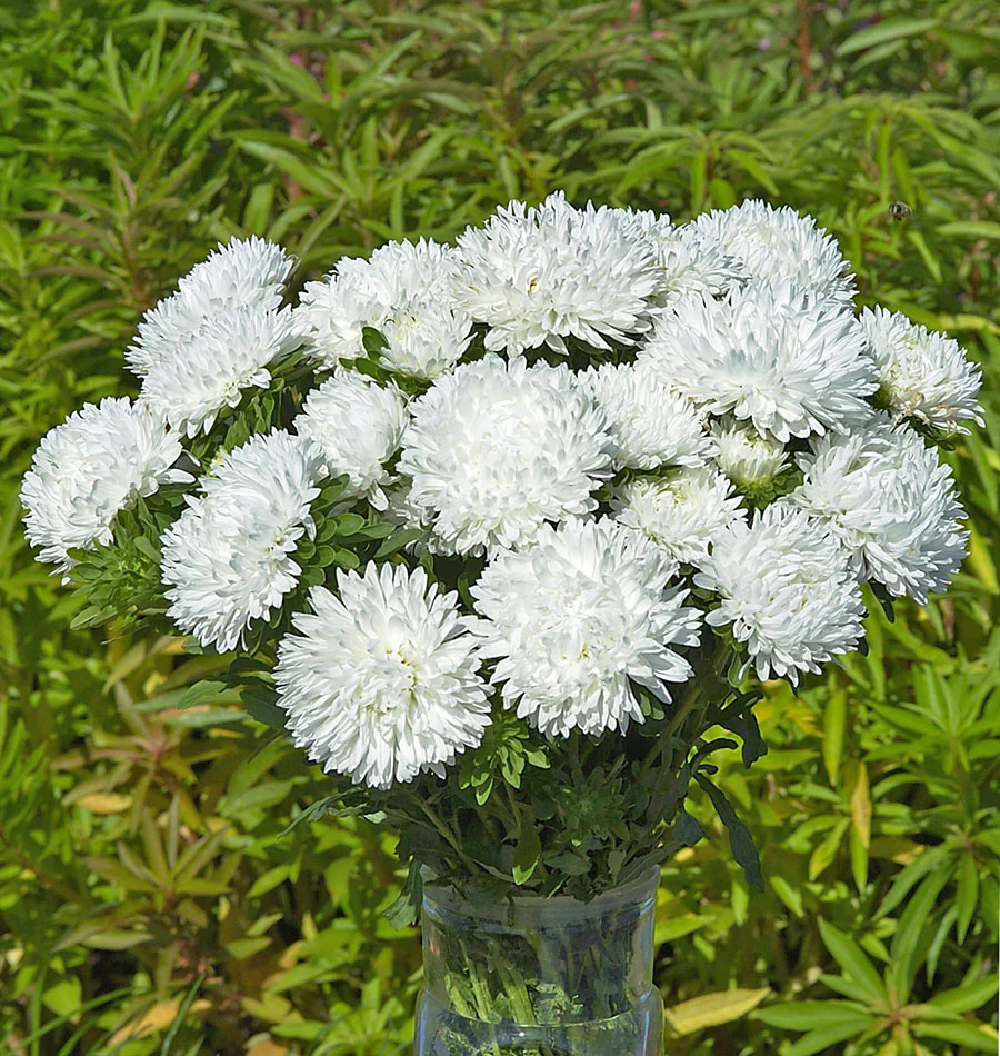 King Size White - Image 2