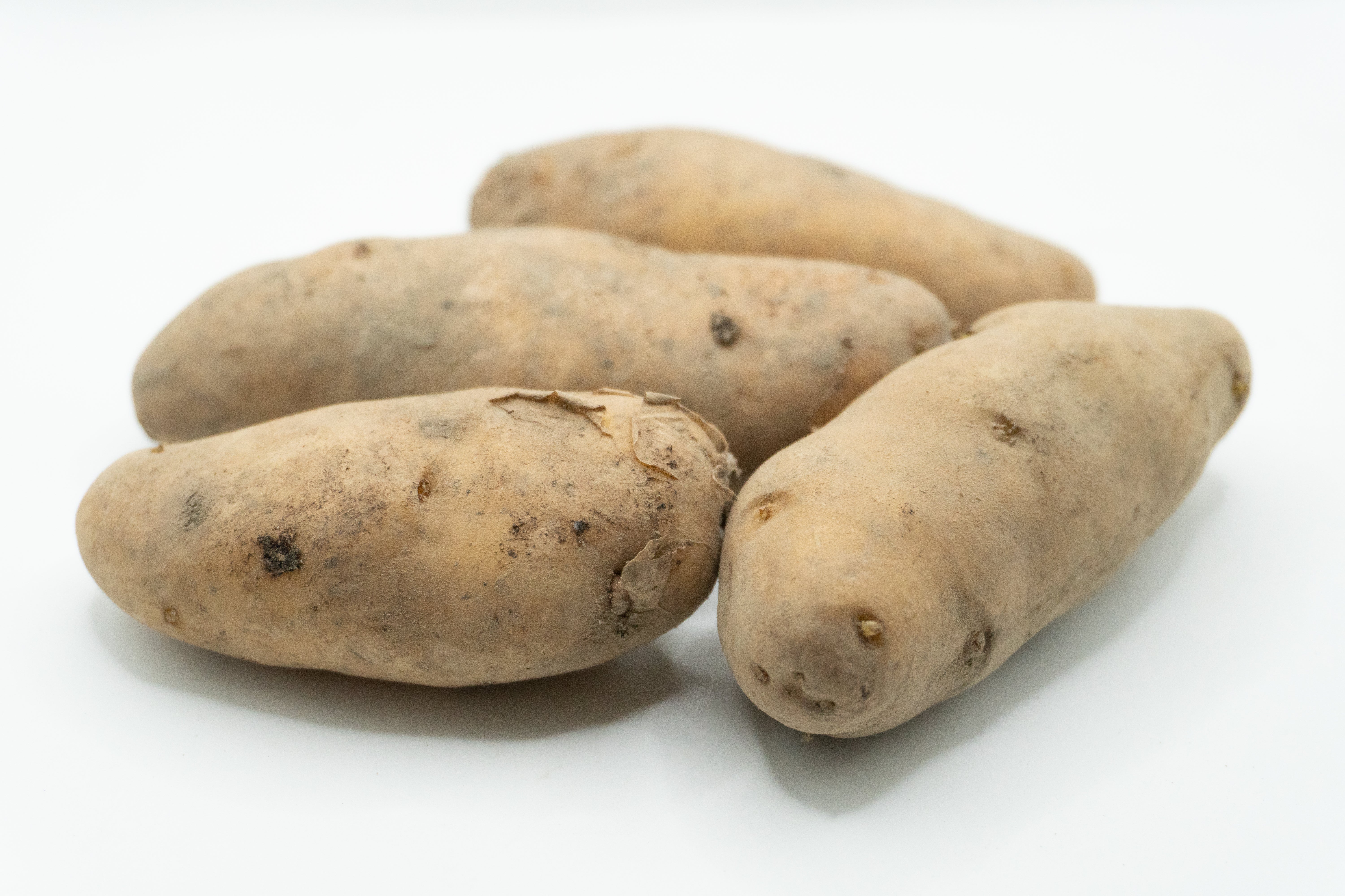 La Ratte Fingerling Organic - Image 3