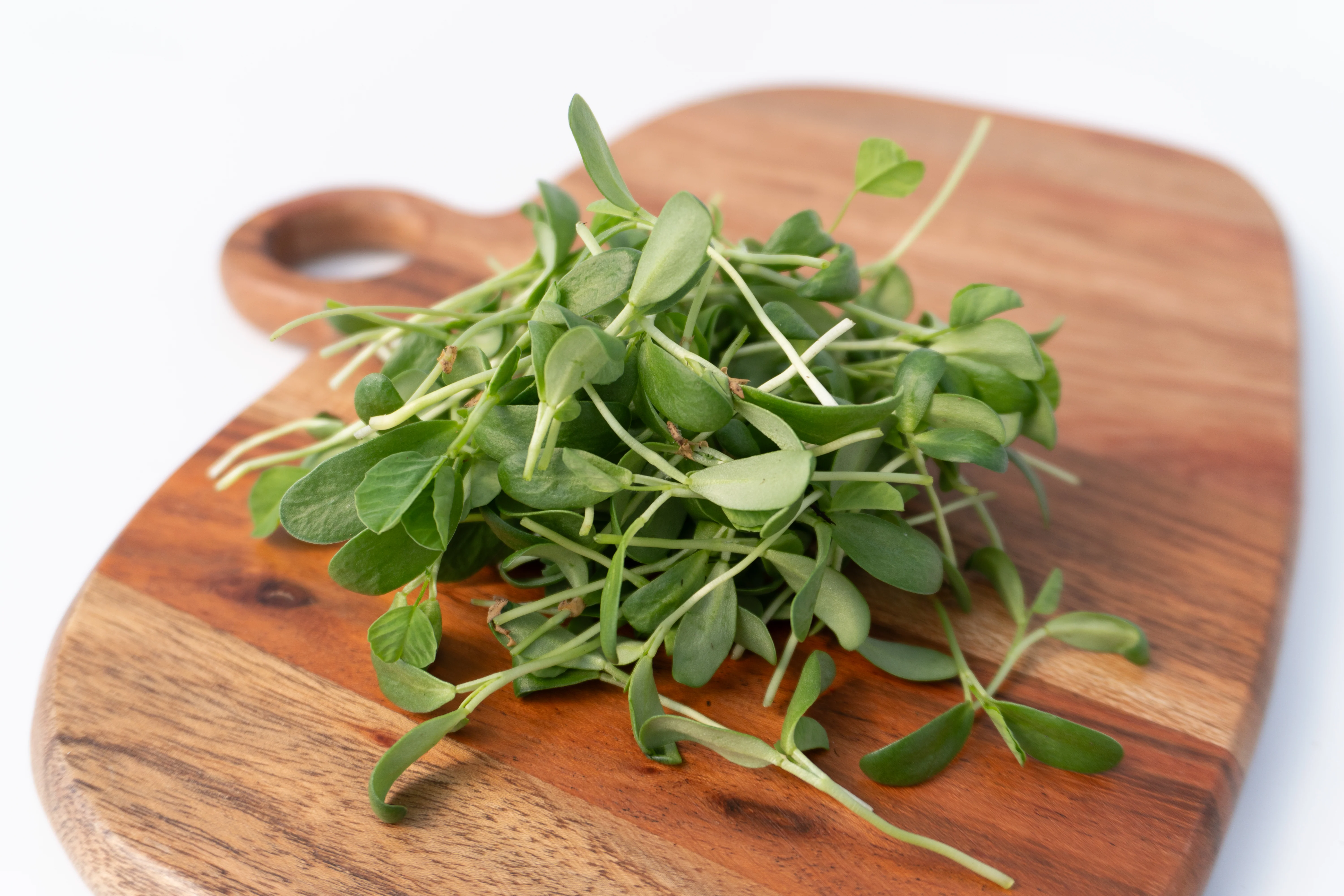 Micro Fenugreek Organic - Image 3