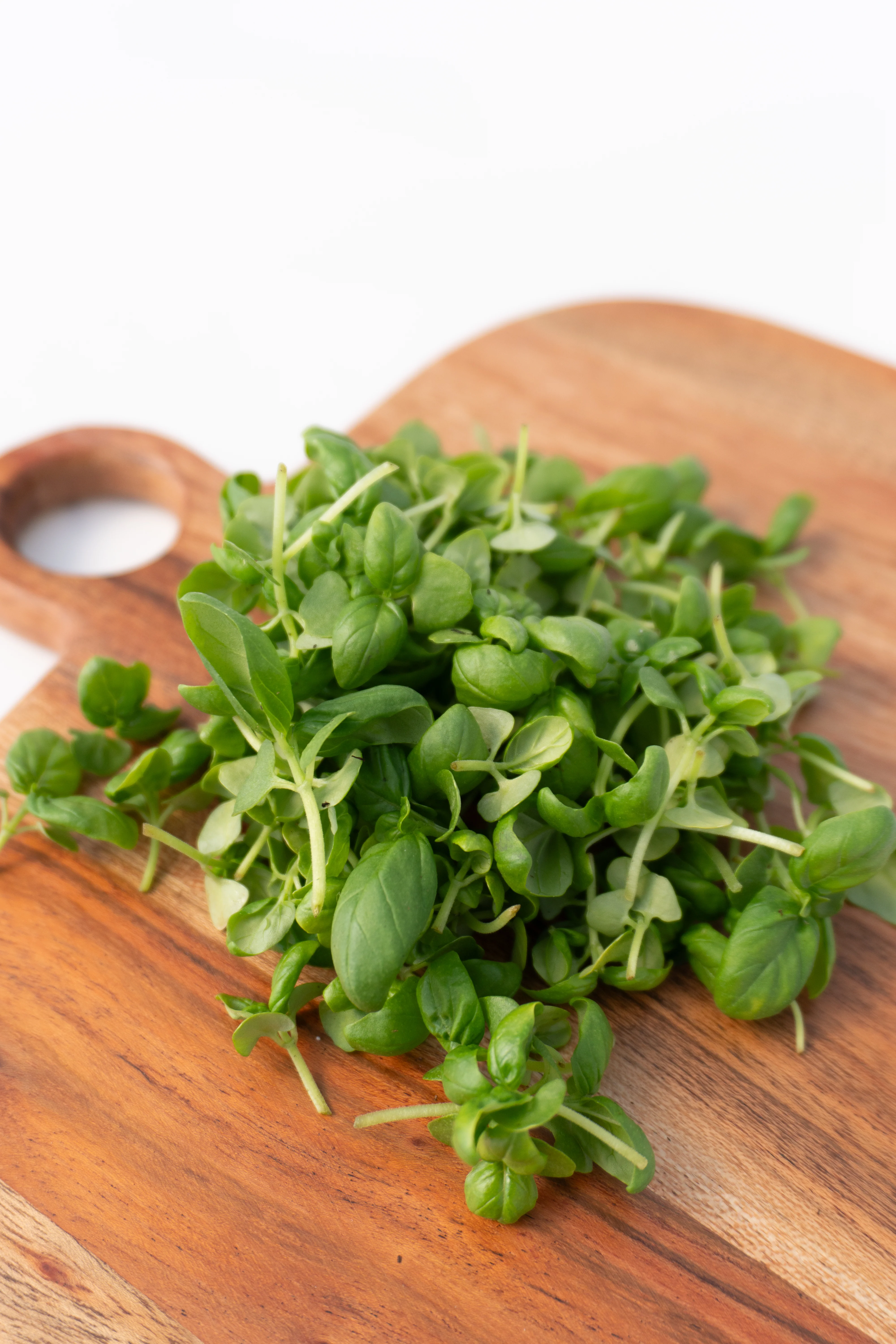 Microgreens Basil - Image 2