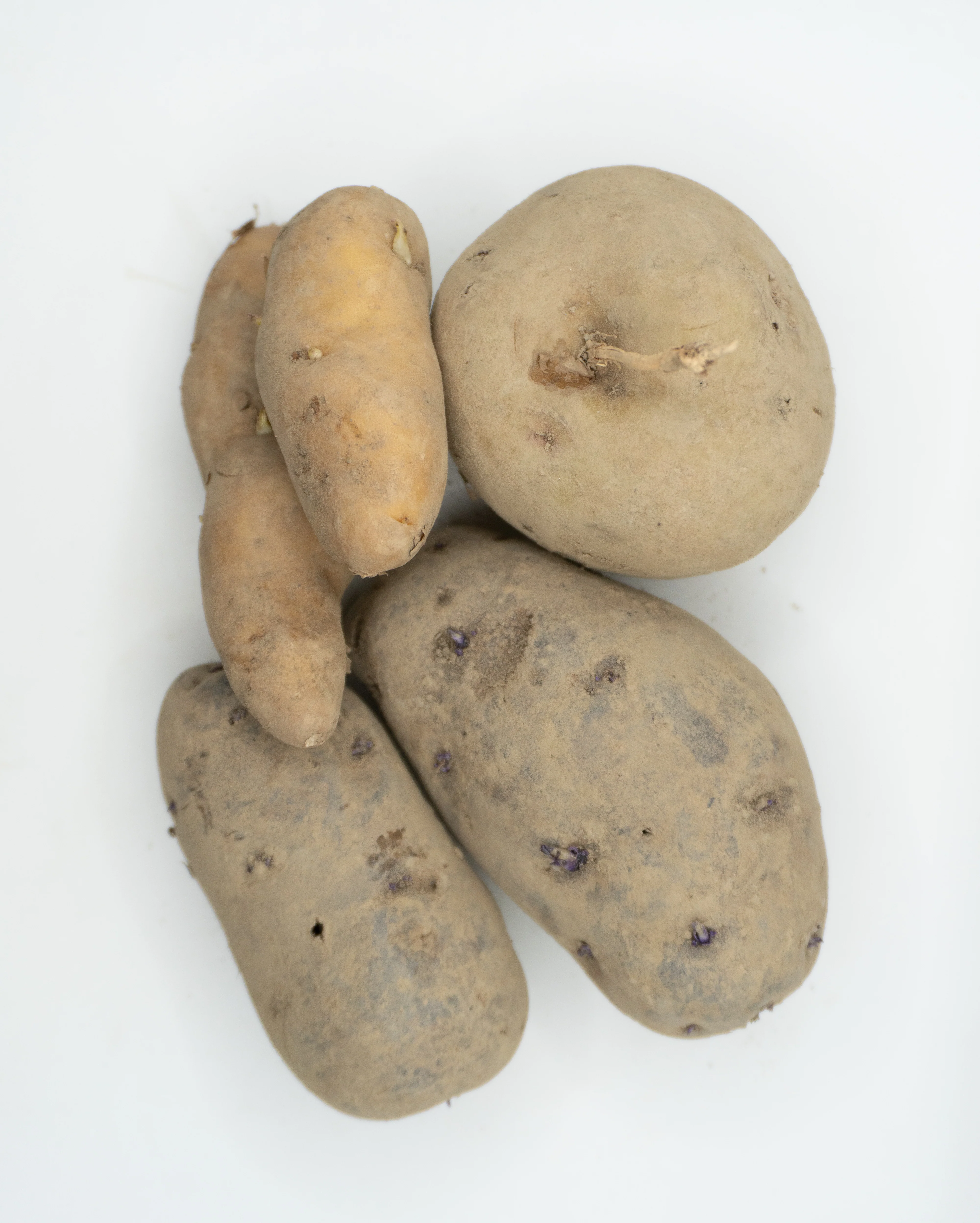 Potato Mix Organic - Image 3