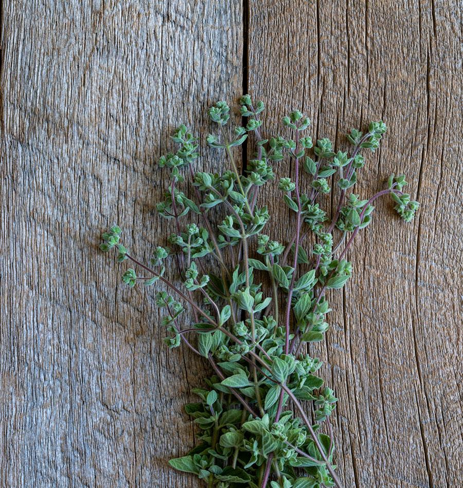 Za'atar Oregano Organic - Image 3