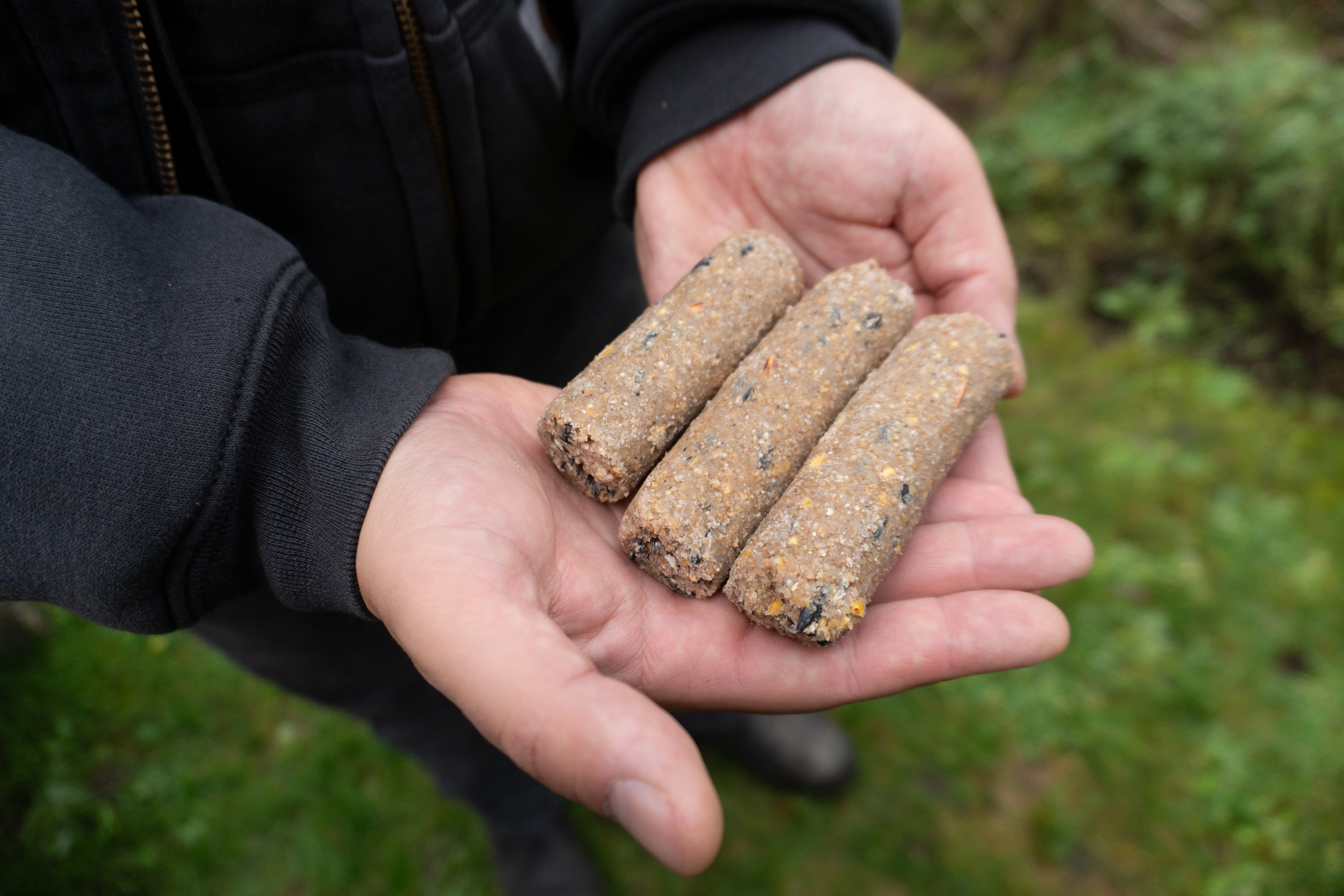 Peanut Suet Plugs - 8 Pack - Image 3