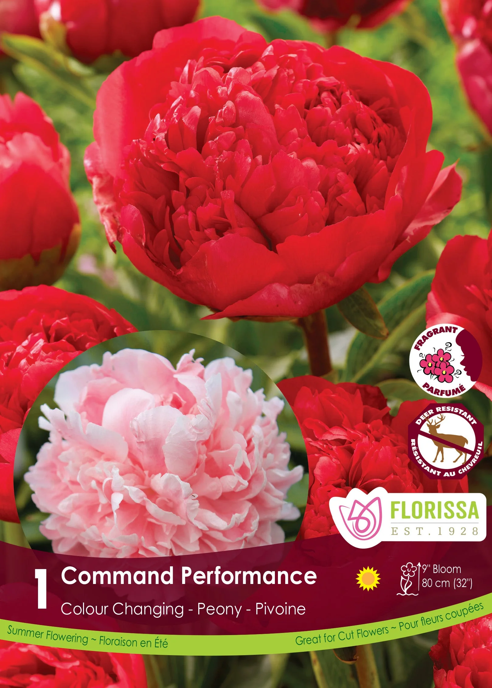 Peony Command Performance 1pk