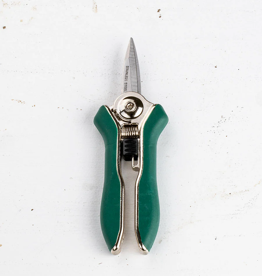Pinebush Precision Trimmer Pruner - Image 2