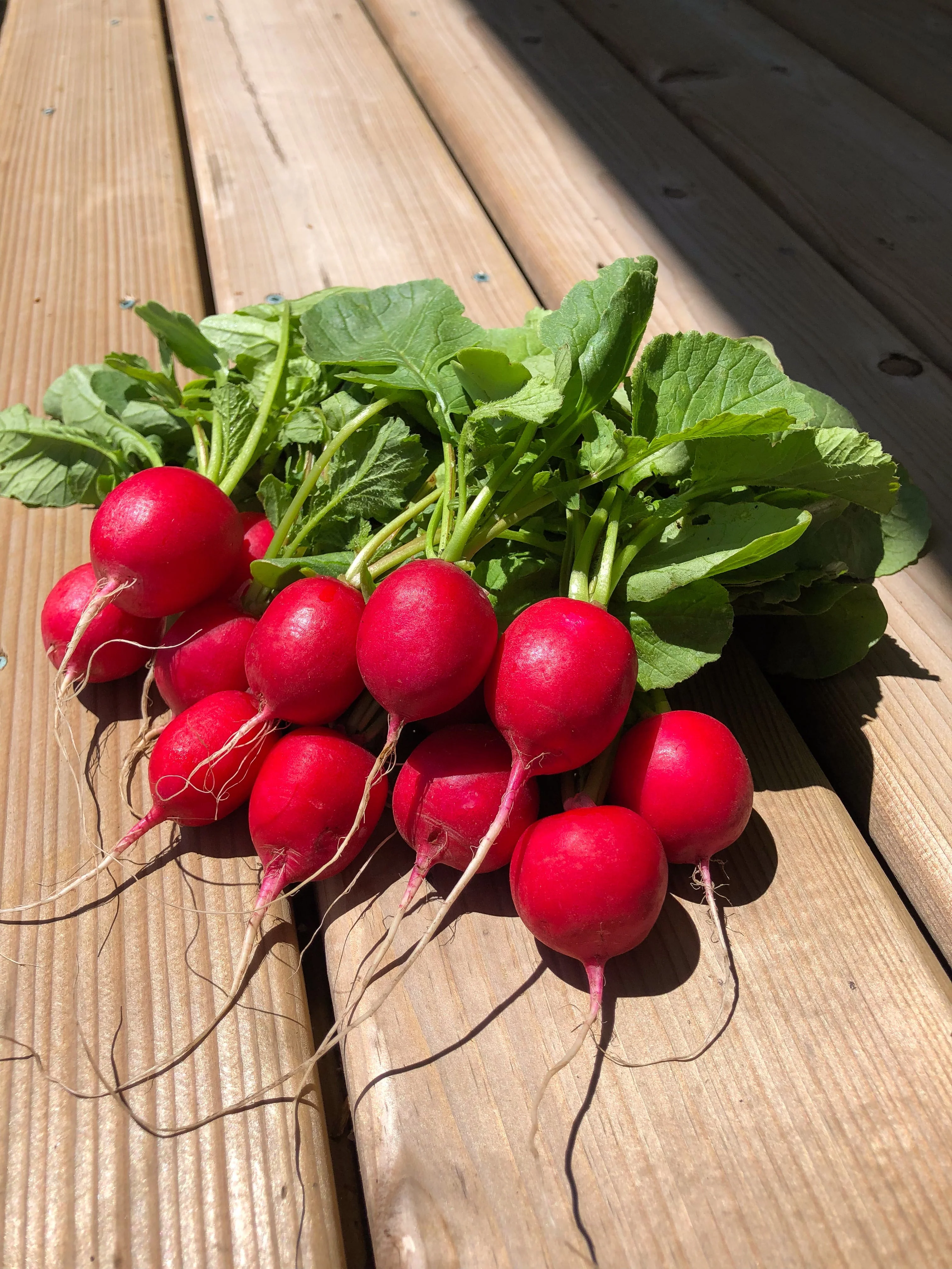 Raxe Organic - Image 3