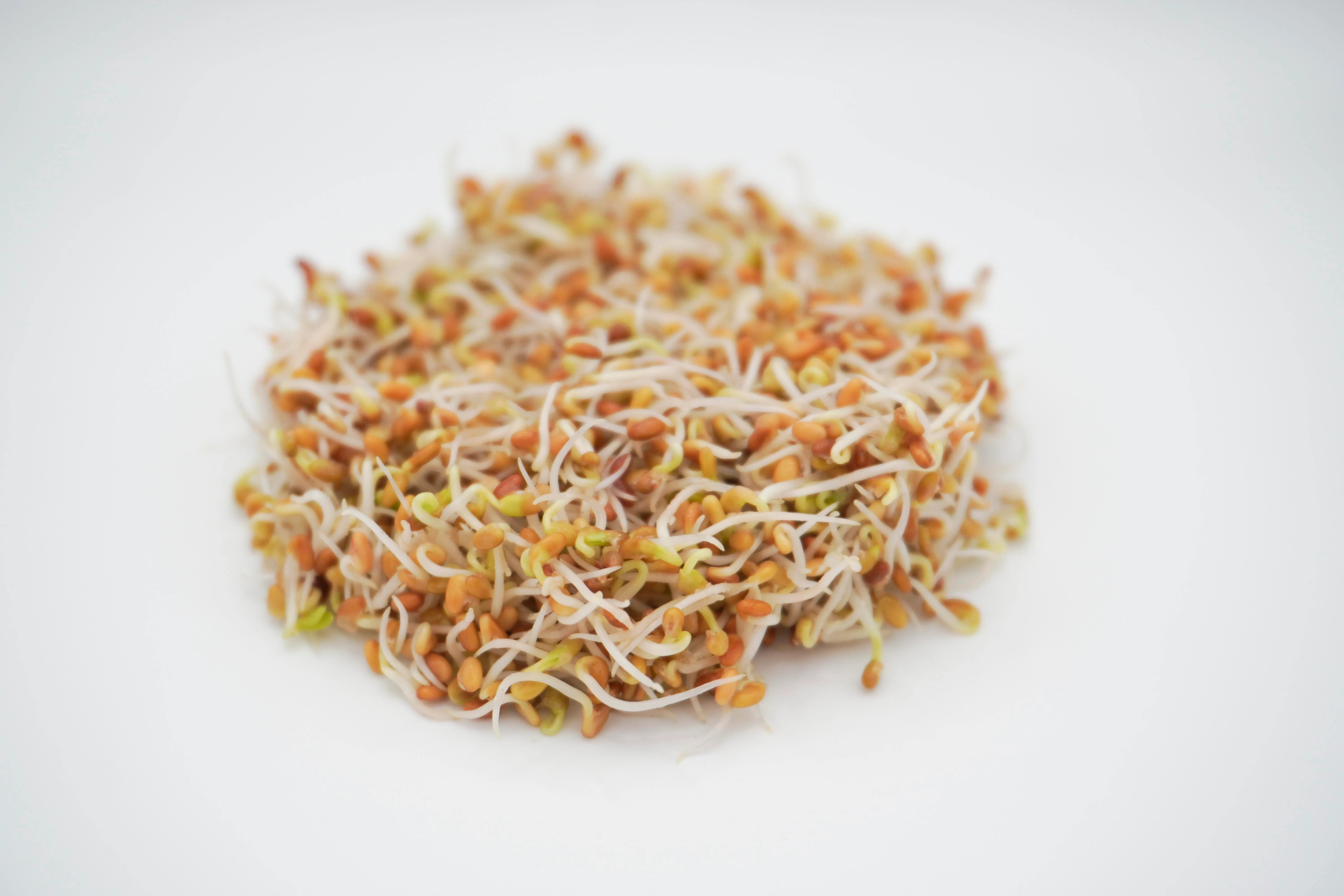 Red Clover Organic - Image 3