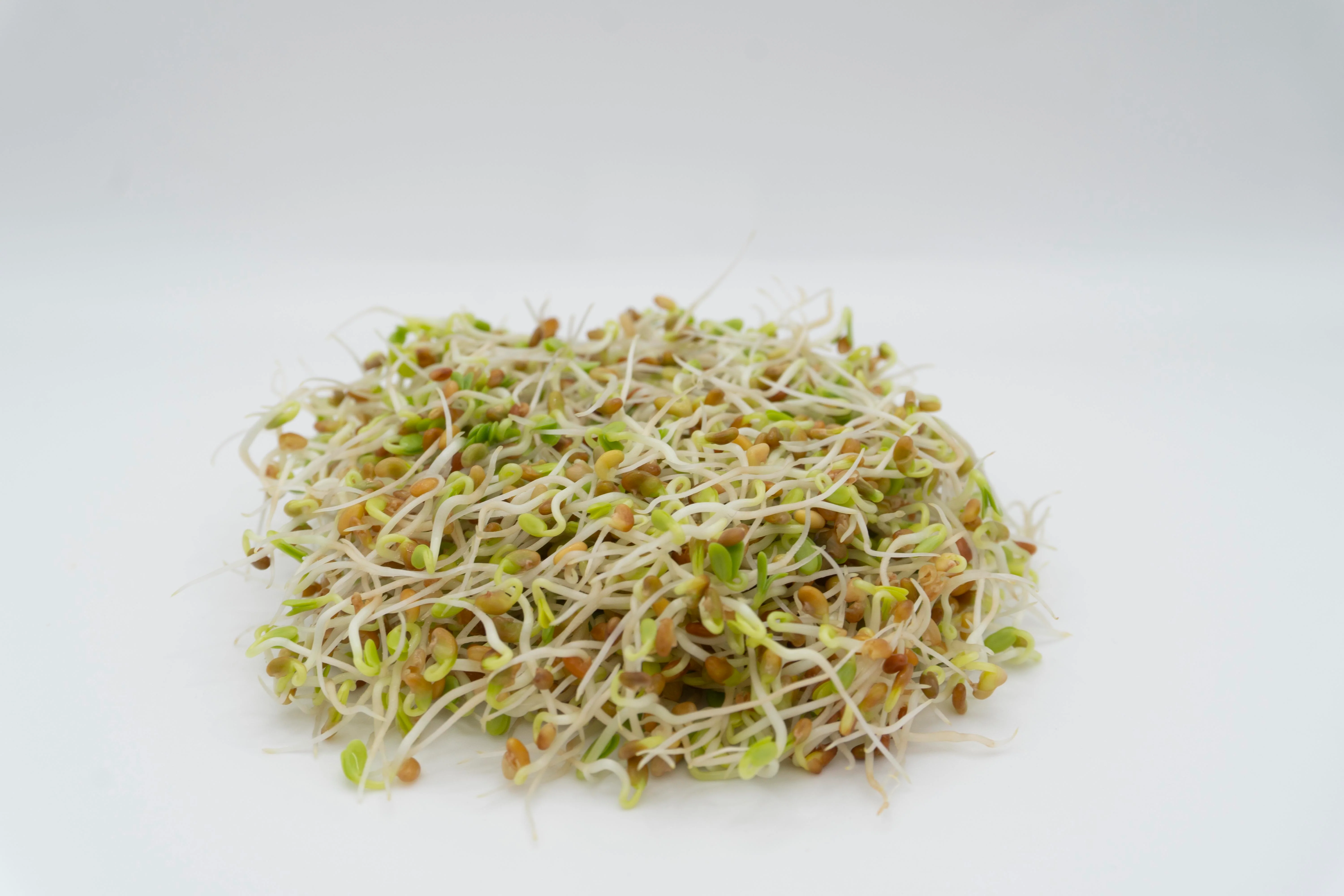Red Clover Organic - Image 4