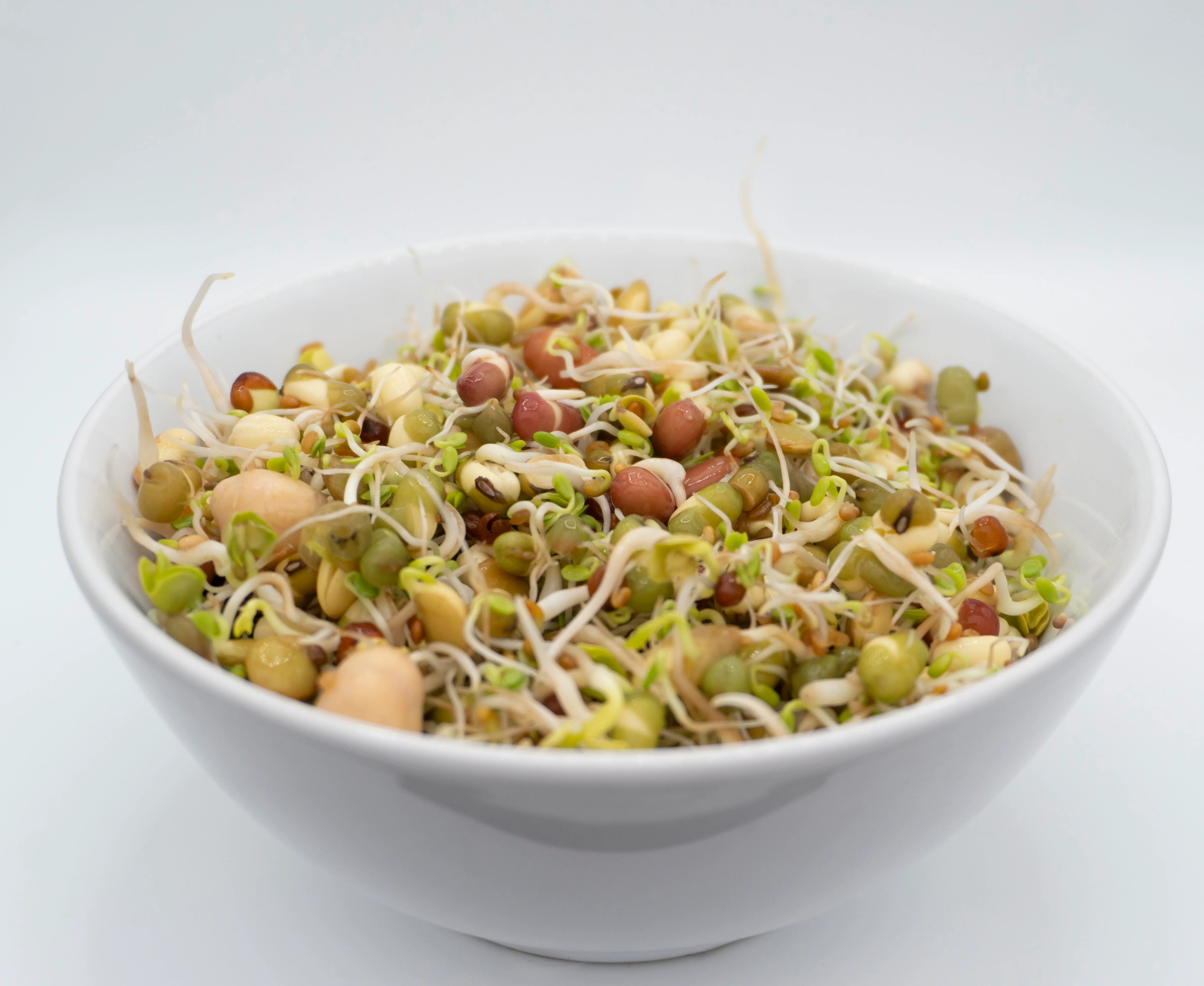 Salad Sprouting Seeds Organic - Image 4