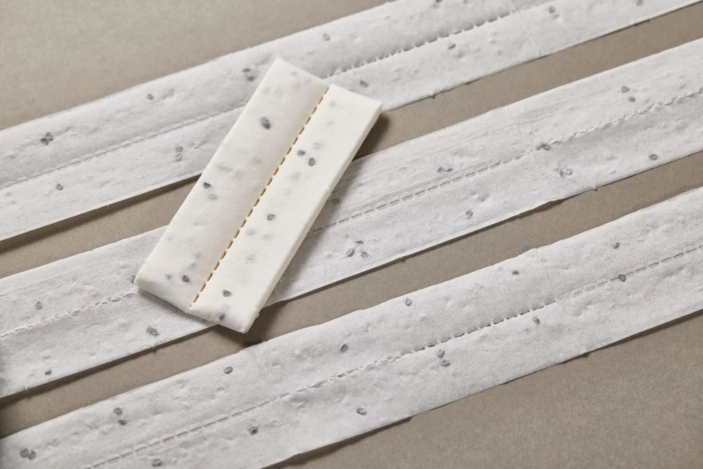 Scarlet Nantes Seed Tape - Image 2