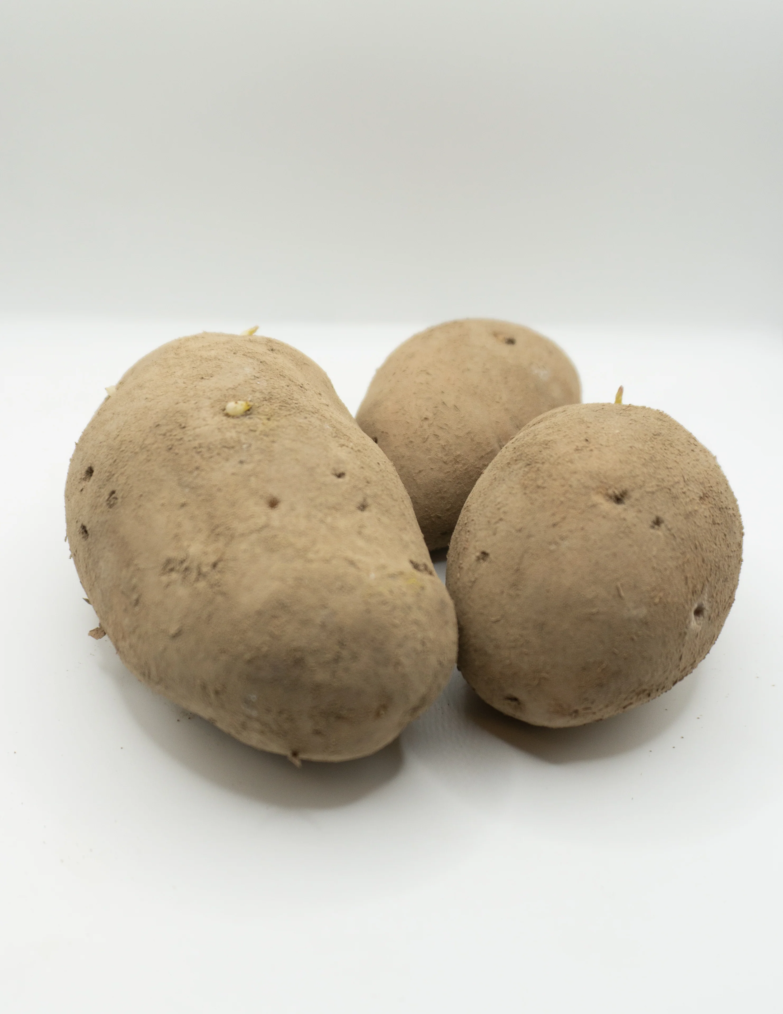 Sieglinde Organic - Image 2