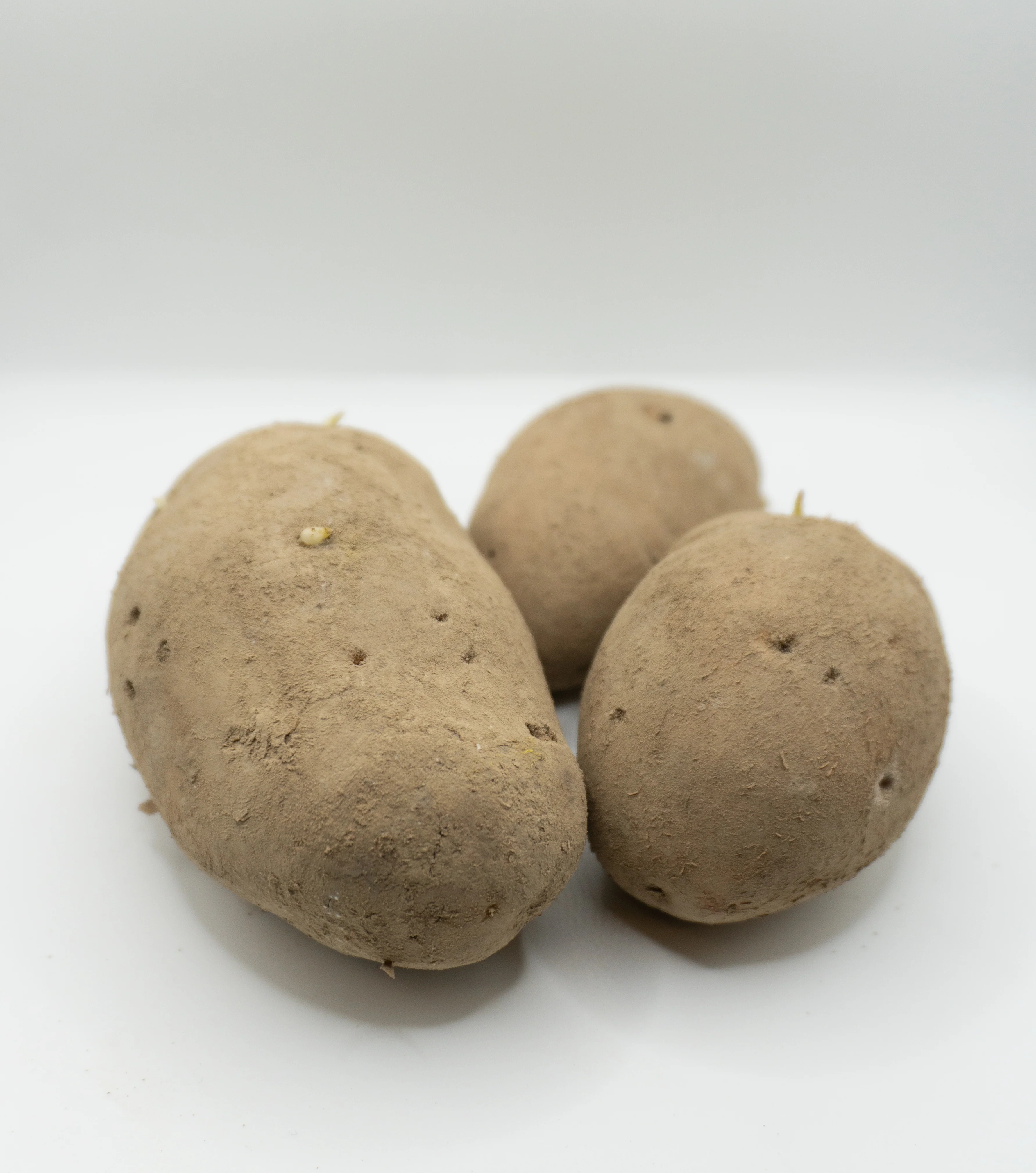 Sieglinde Organic - Image 3