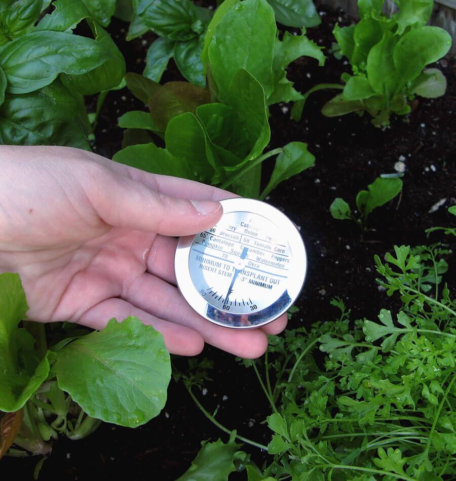 Soil Thermometer