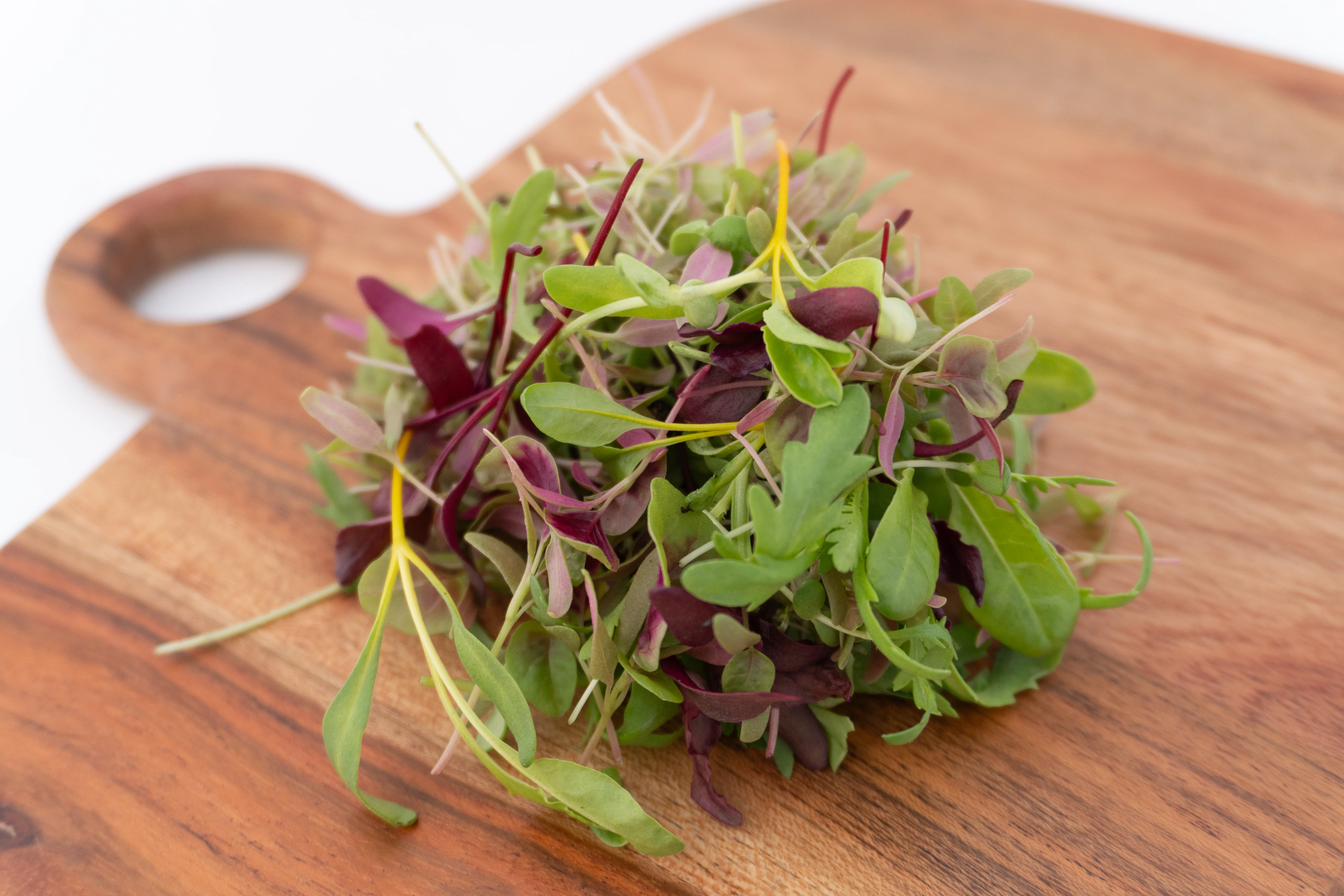 Three Week Microgreen Seeds - Image 4