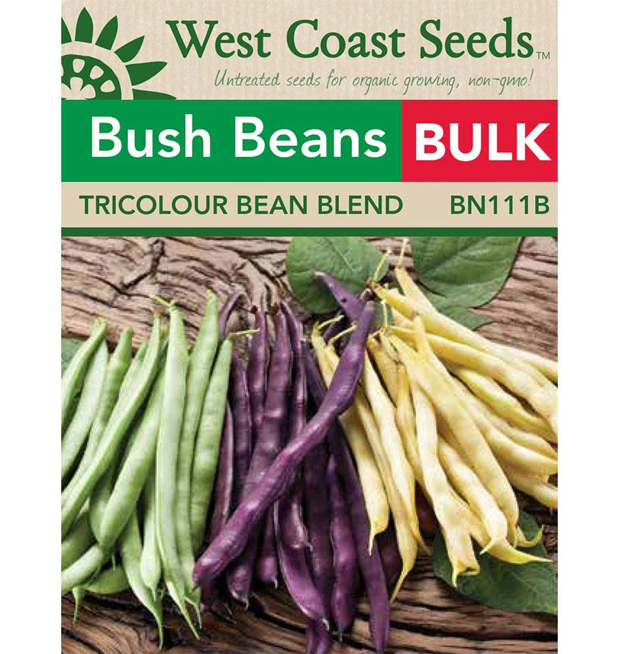 Tricolour Bean Blend - Image 4