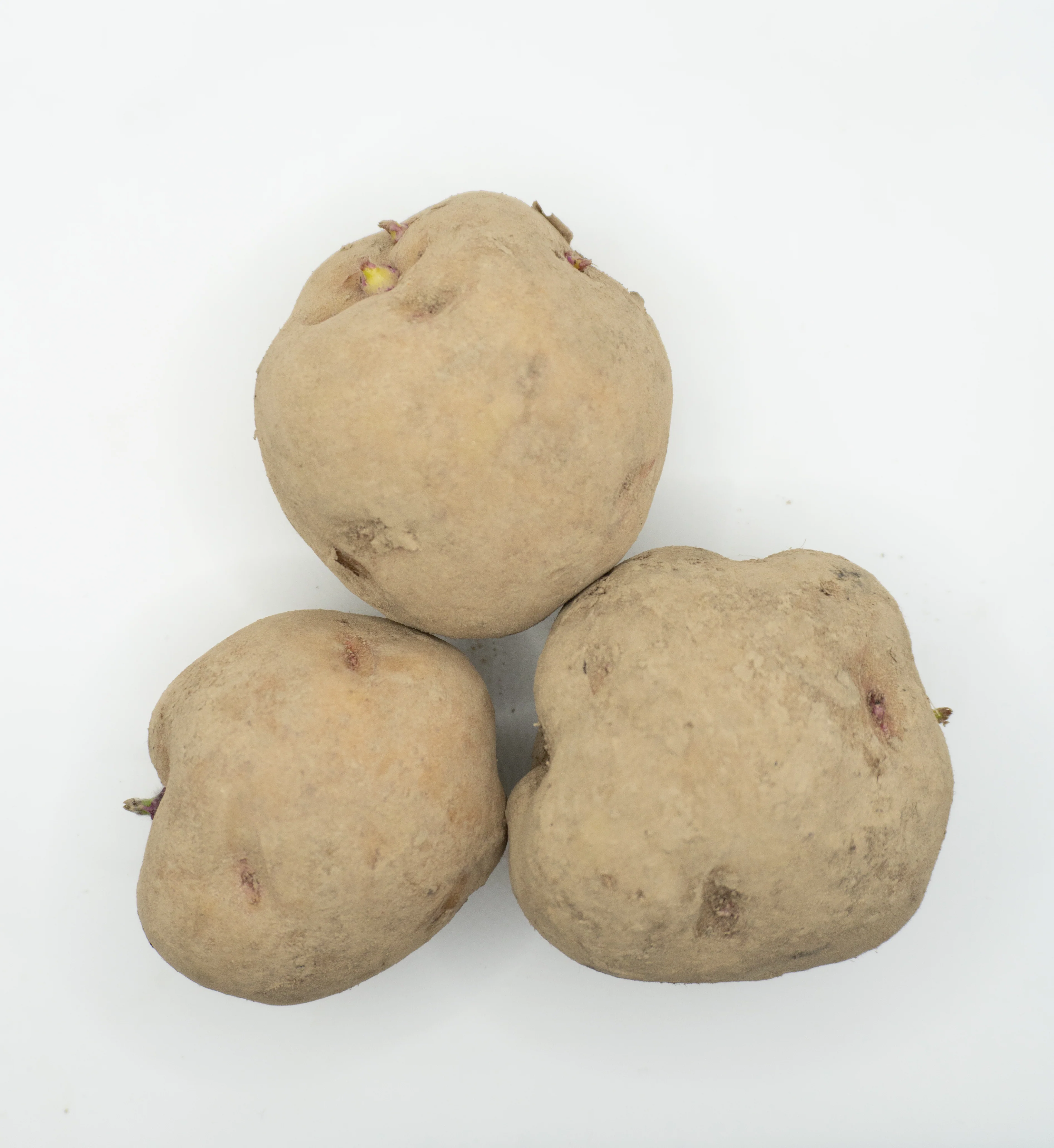 Warba Organic - Image 4