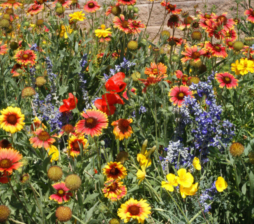 Waterwise Blend - Image 2