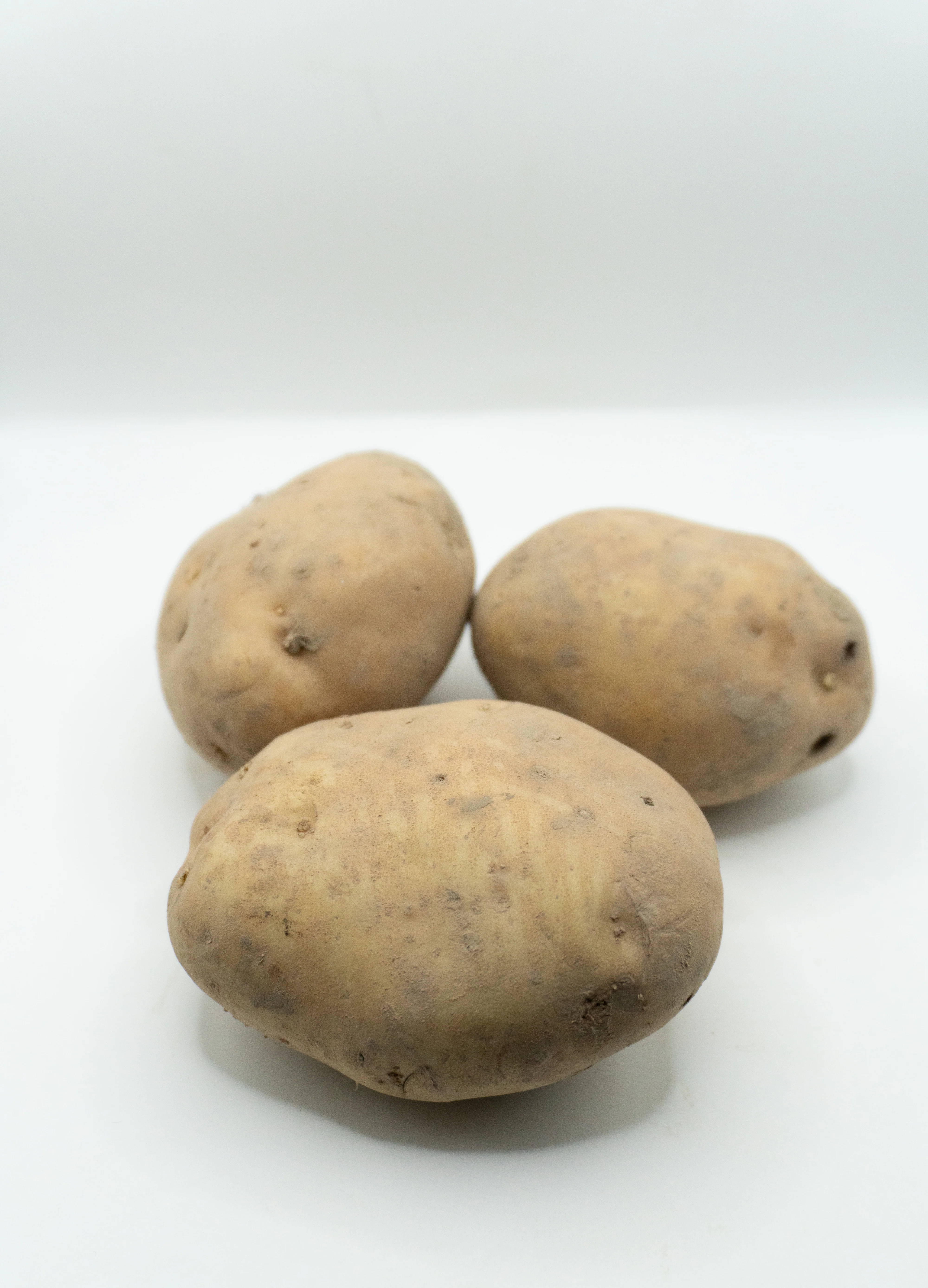 Yukon Gold Organic - Image 3